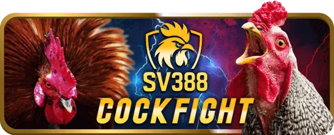 Đá gà trực tuyến luck8882 nhà cái